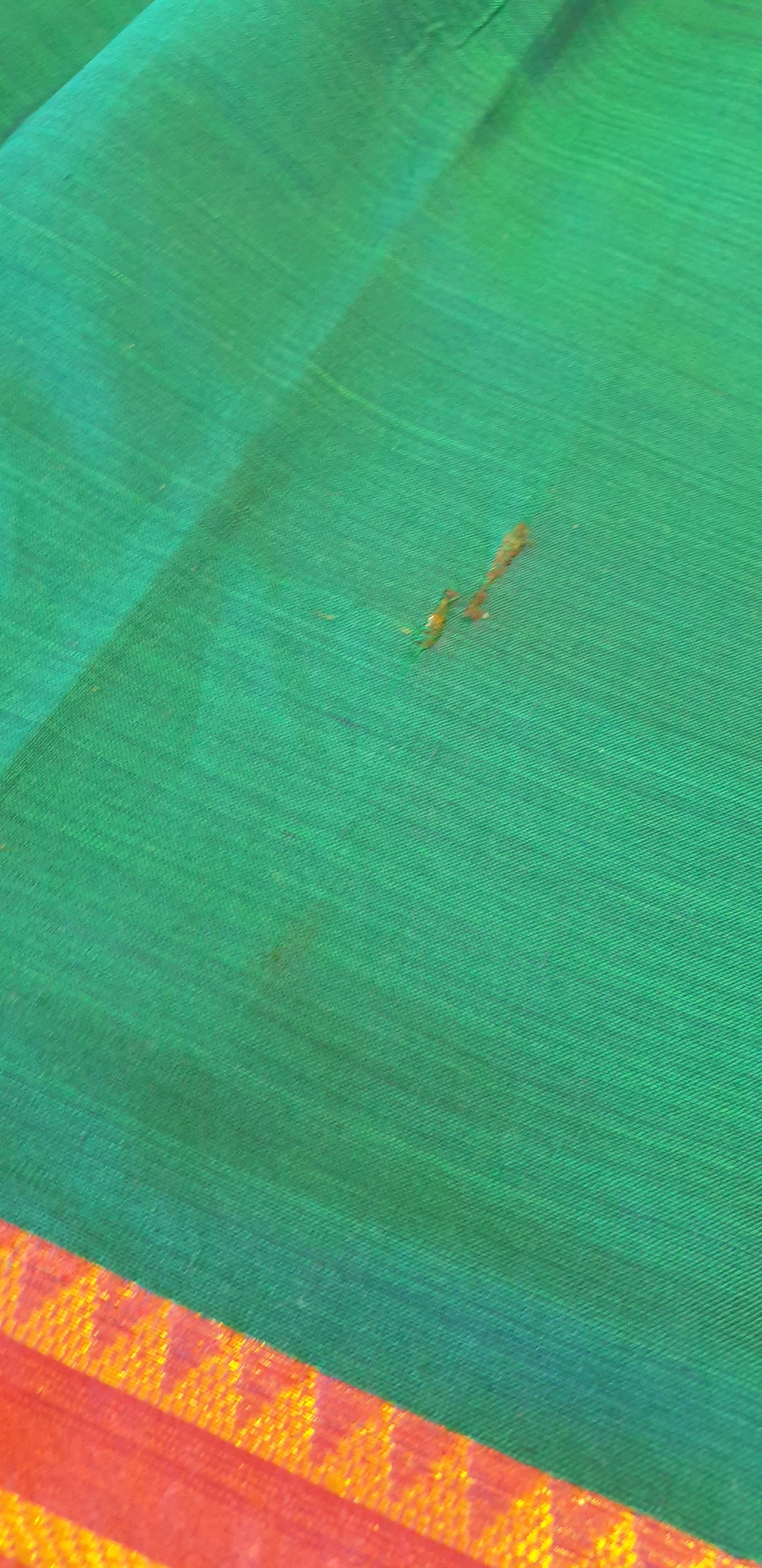 Narayanpet Cotton