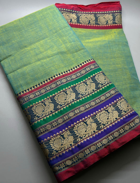 Narayanpet Cotton