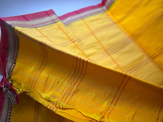 Narayanpet Cotton